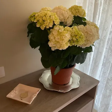 Luxury One Bedroom With Garden *